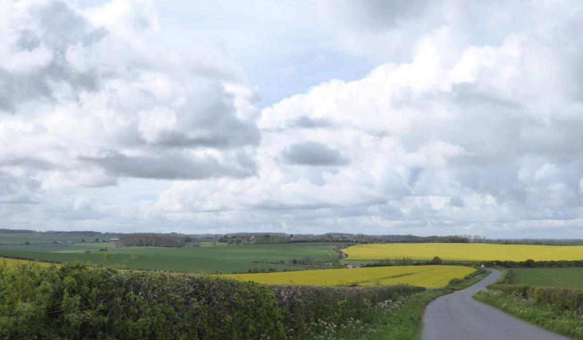 A country lane runs down a gentle hill between green and yellow fields under a cloud dappled sky.