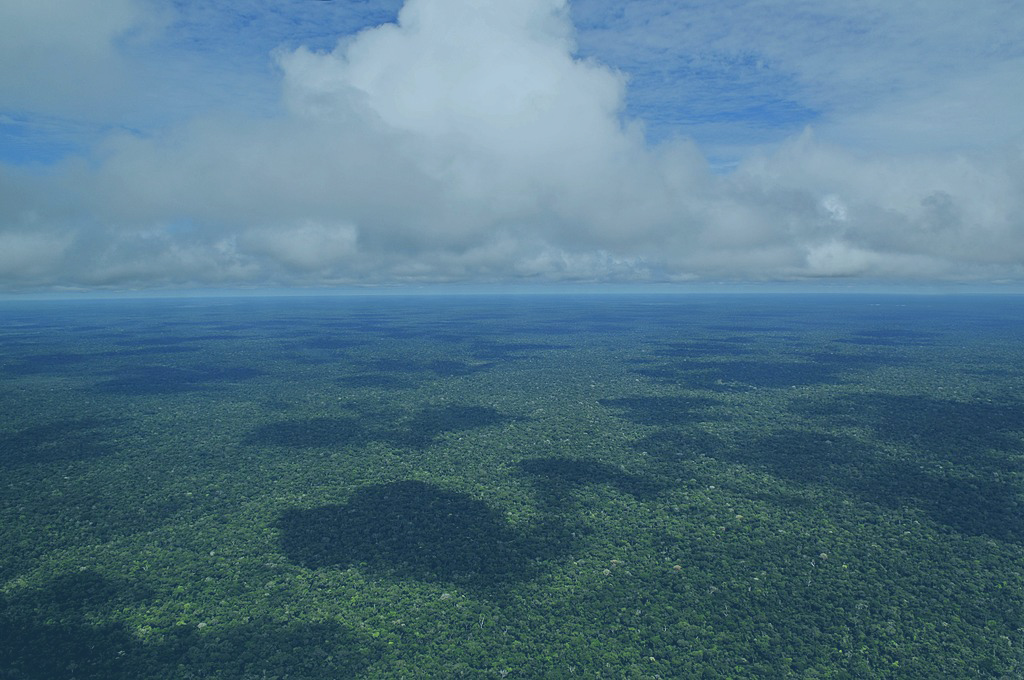 An image of the Amazonia 