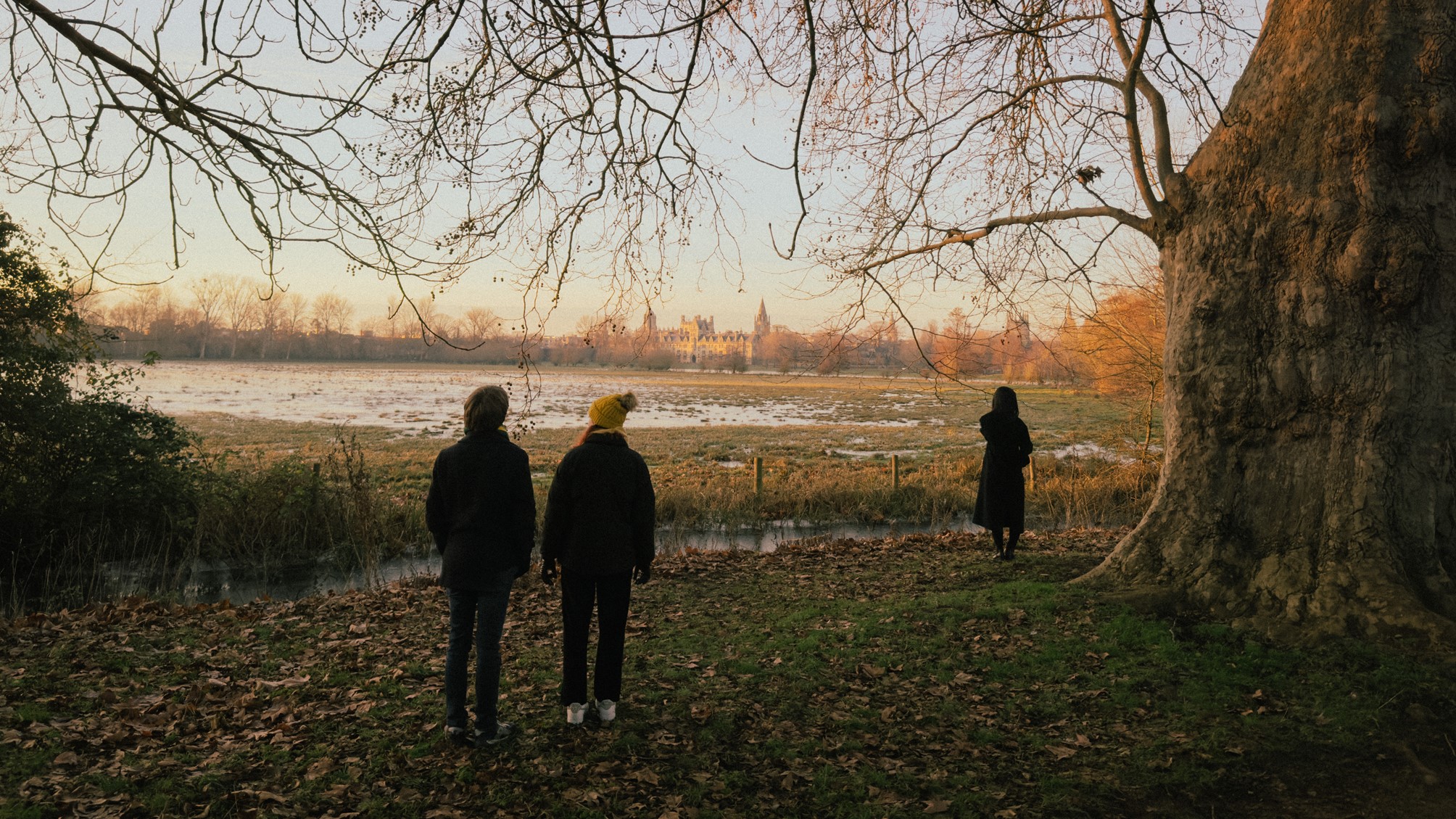 On the edge of  wintery meadow a couple and a stranger stand apart.