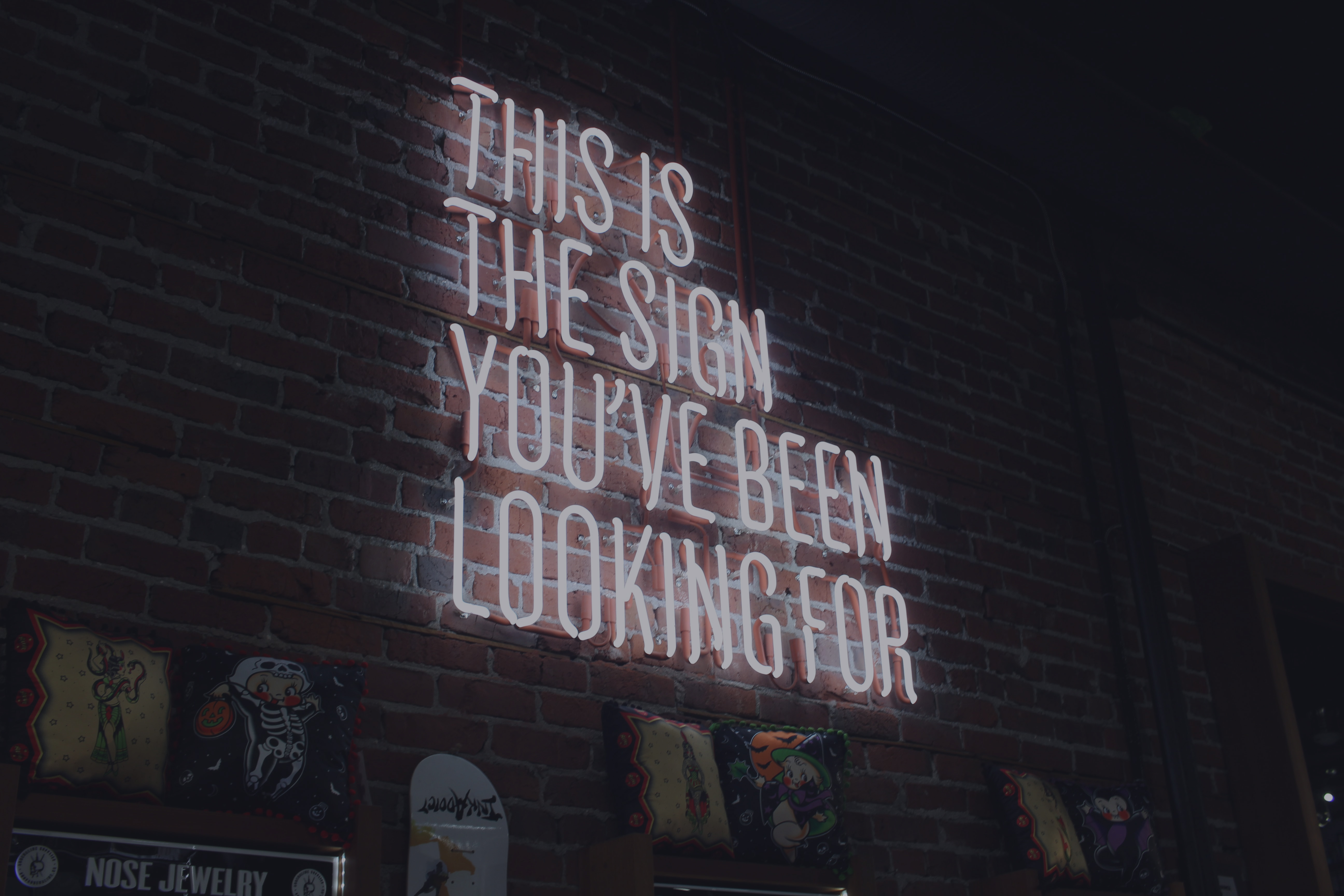 A white neon sign against a brick wall reads: 'This is the sign you have been looking for.