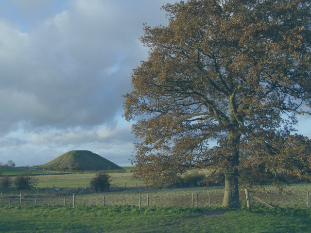 An oak tree stands over a field and fence, behind which, in the distance, rises a man made hill with a flat top.