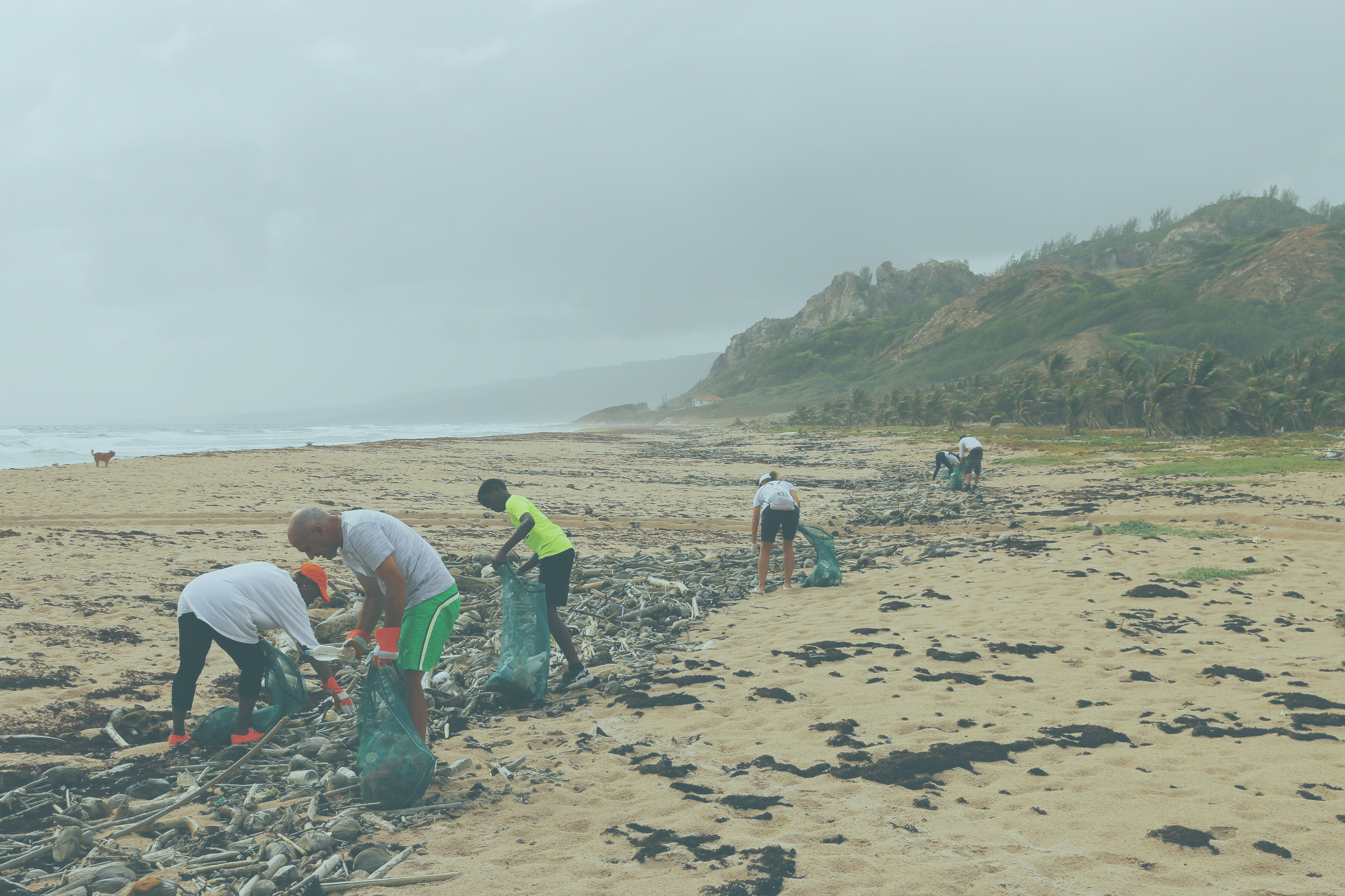 On a misty beach, people comb the tide line to remove rubbish.