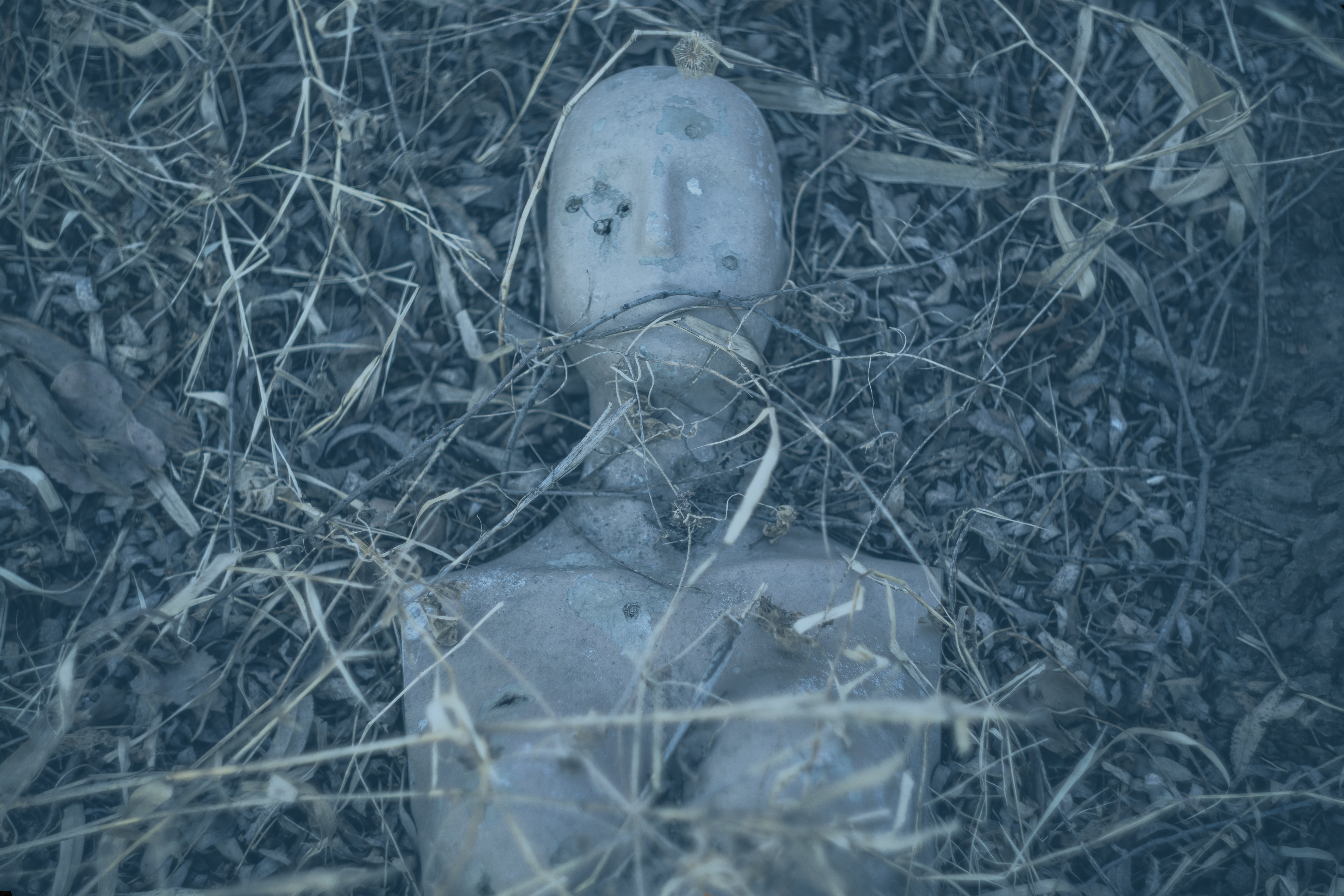 The head and torso of a mannequin lie abandoned in undergrowth