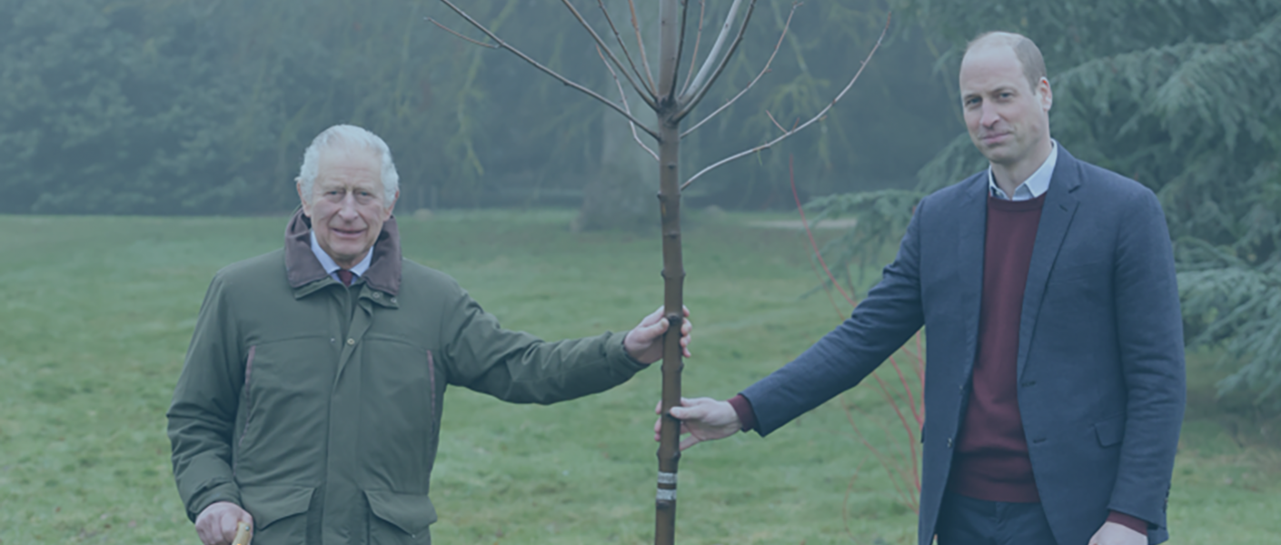 King Charles and Prince William hold a tree sapling upright.