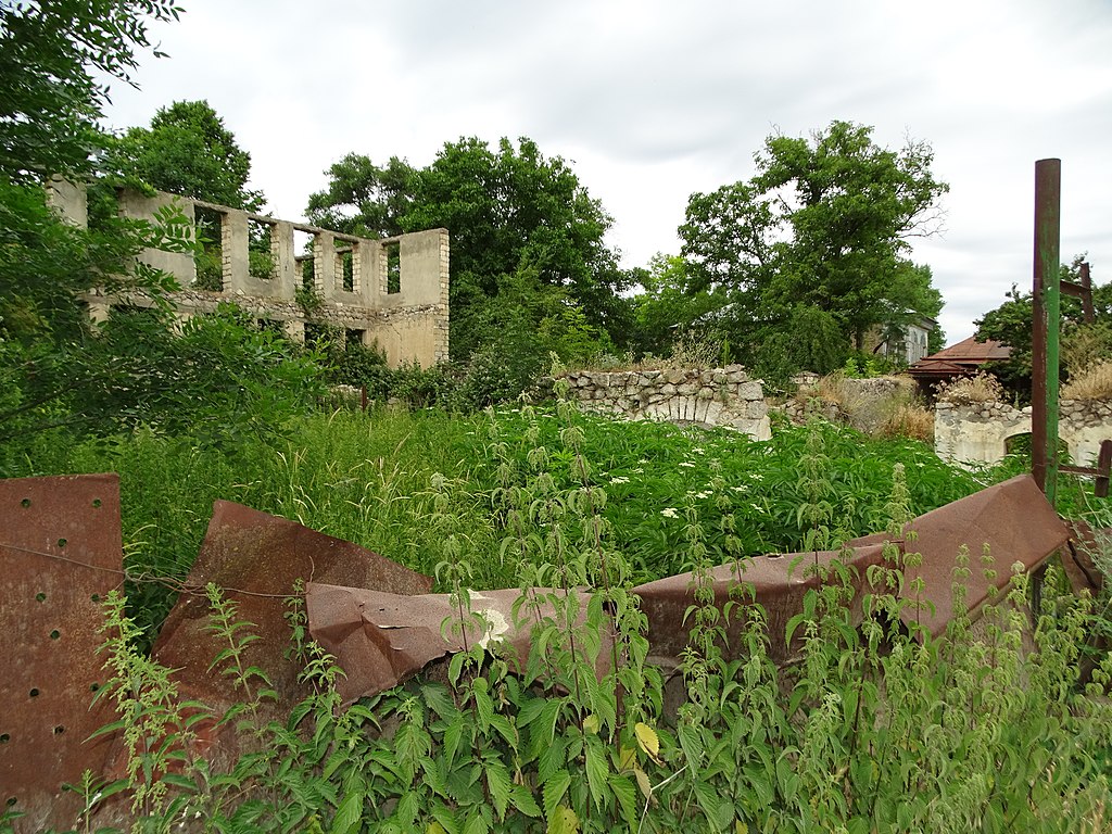 Ruins covered by growing weeds.
