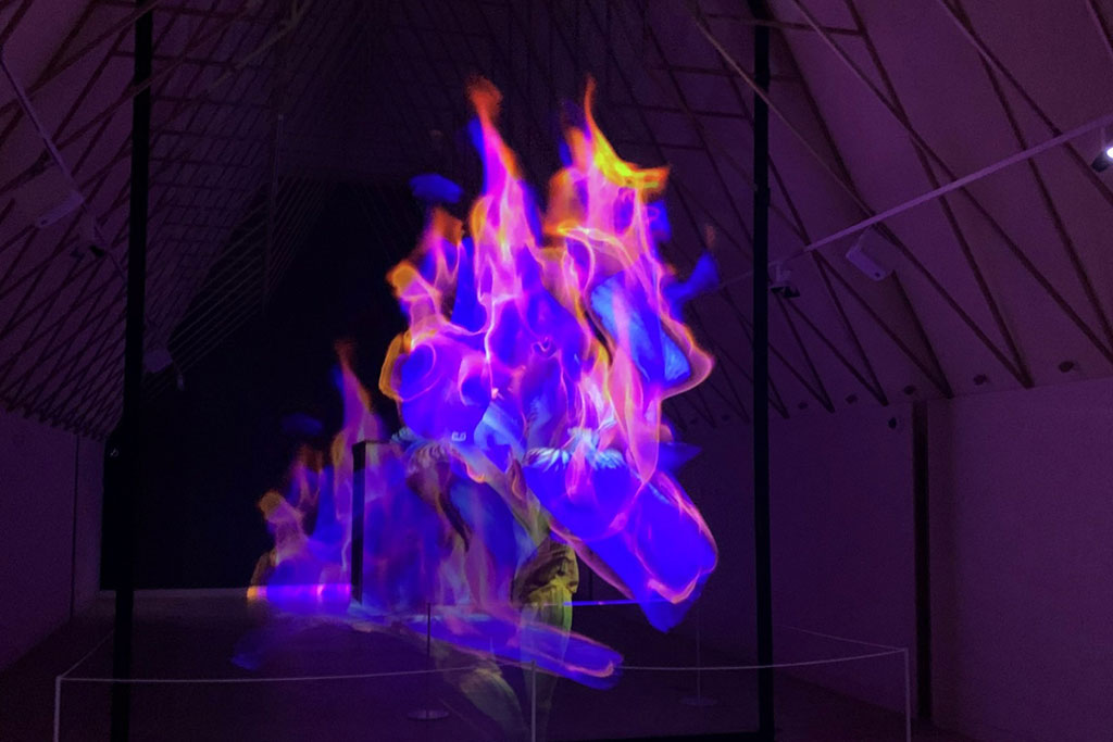 A art installaton showing purple and pink flame-like shapes moving in a darkened room