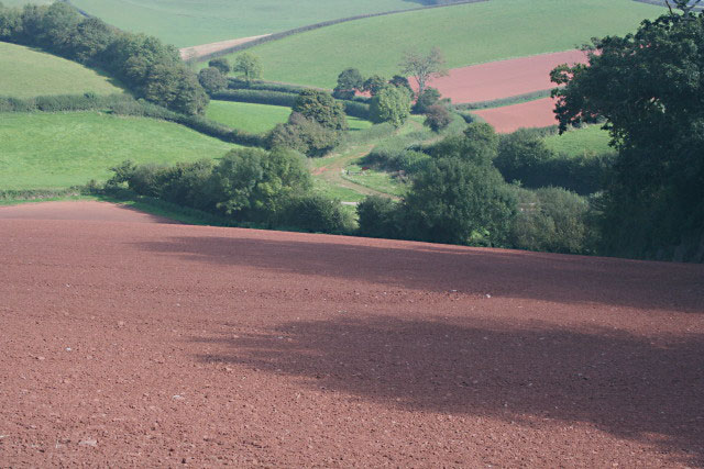 A field of ploughed red soil leads down to a hedged lane.