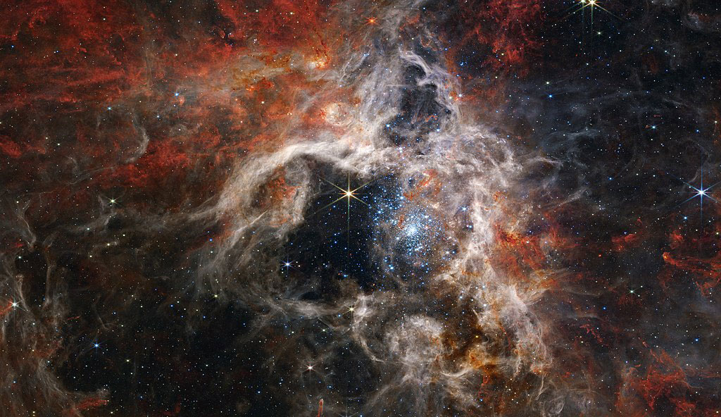 A star nebula of gas clouds and stars.