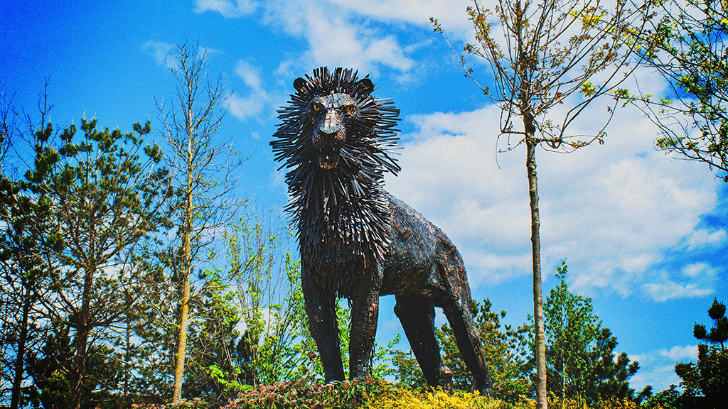 A steel sculpture of a male lion.