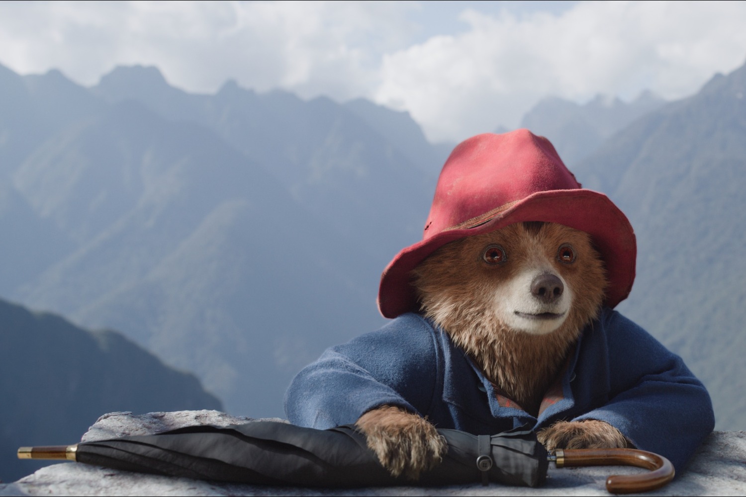 A cartoon bear, wearing a blue duffel coat and red hat, rests his arms on a rock against a mountainous background