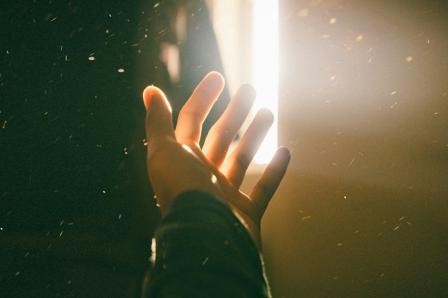 A open hand is held out and up towards a strong source of light