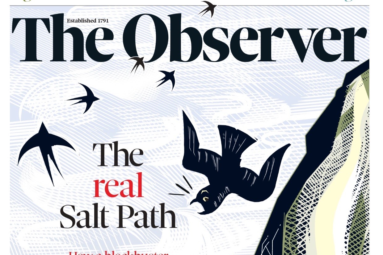 A newspaper front page shows its title and a falling sea bird