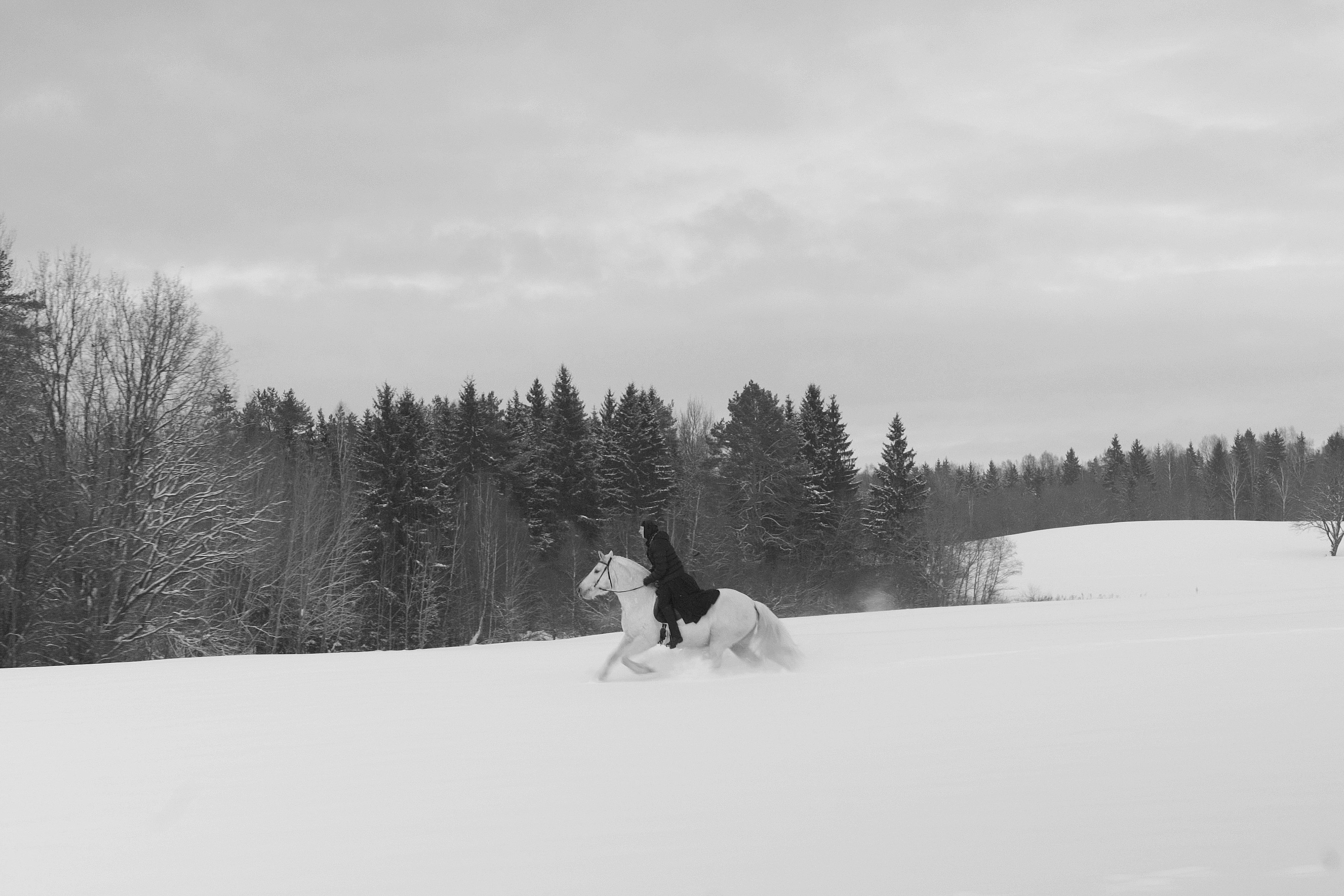 A nun on a white horse, gallops across a snowy field, in black and white