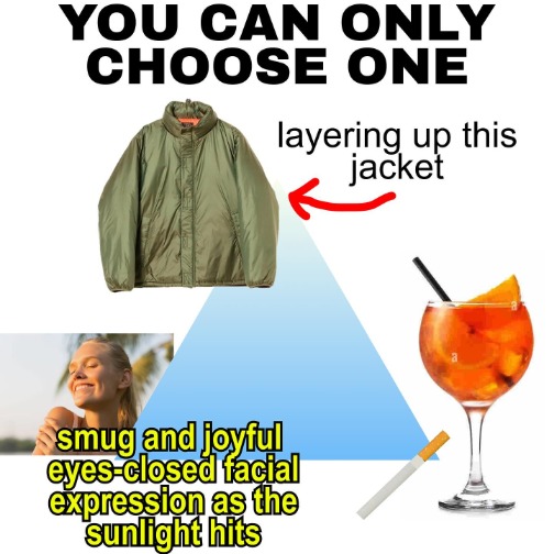 A screen grab of a fashion choice meme.