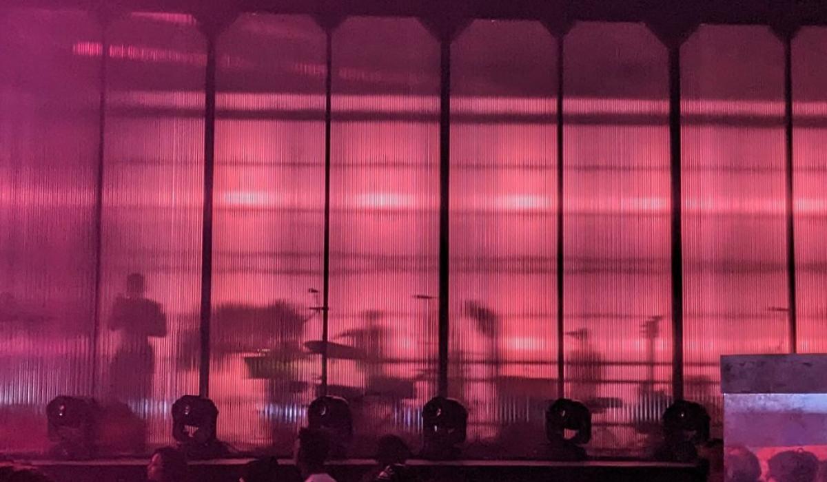 A singer stands beside musical instrument behind pink frosted glass on the front of a stage.