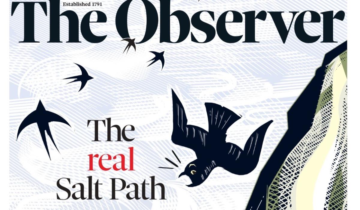A newspaper front page shows its title and a falling sea bird