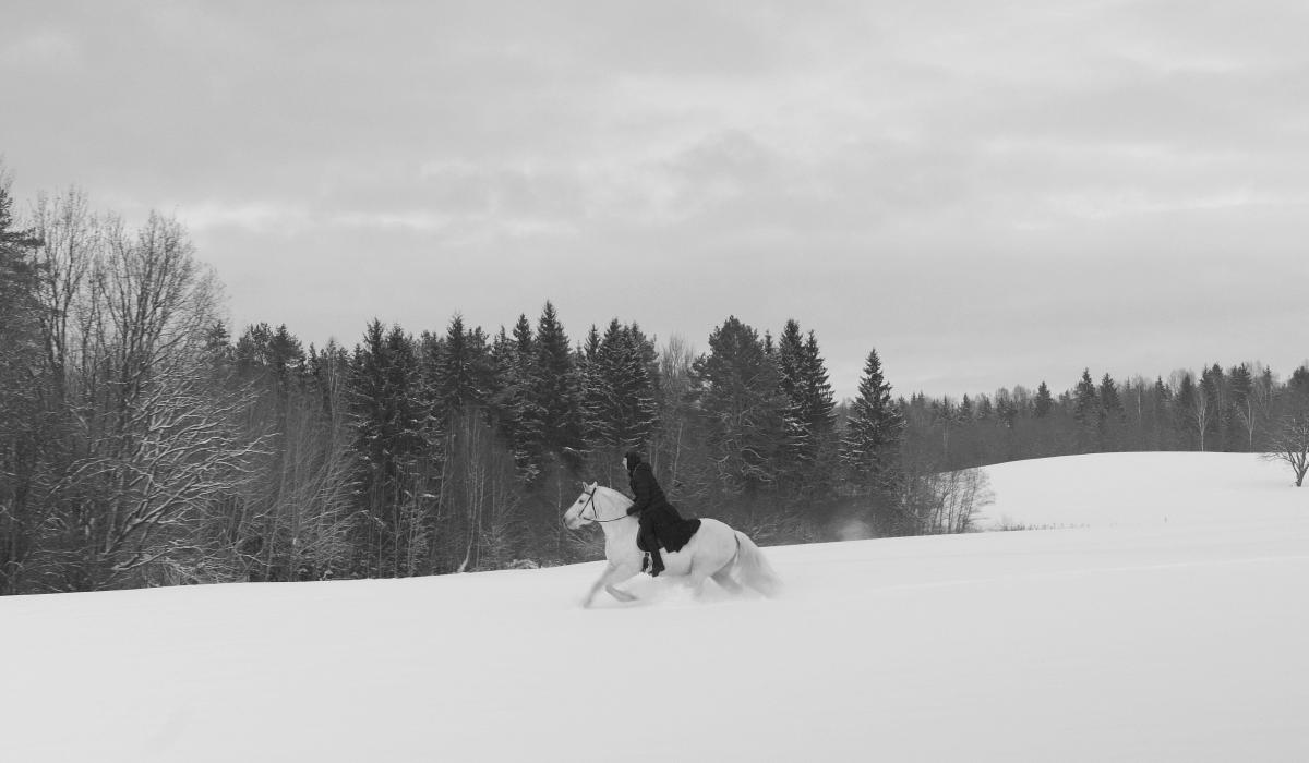 A nun on a white horse, gallops across a snowy field, in black and white