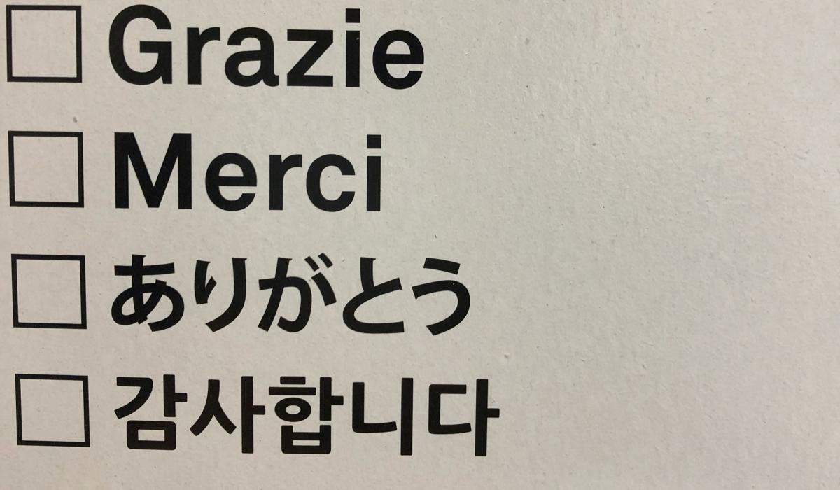 A check list shows 'thank you' in different languages.