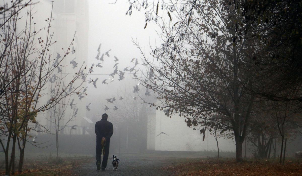 A man walks a dog along a misty city park path.