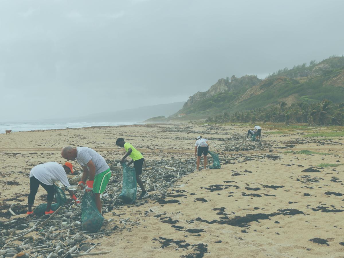 On a misty beach, people comb the tide line to remove rubbish.