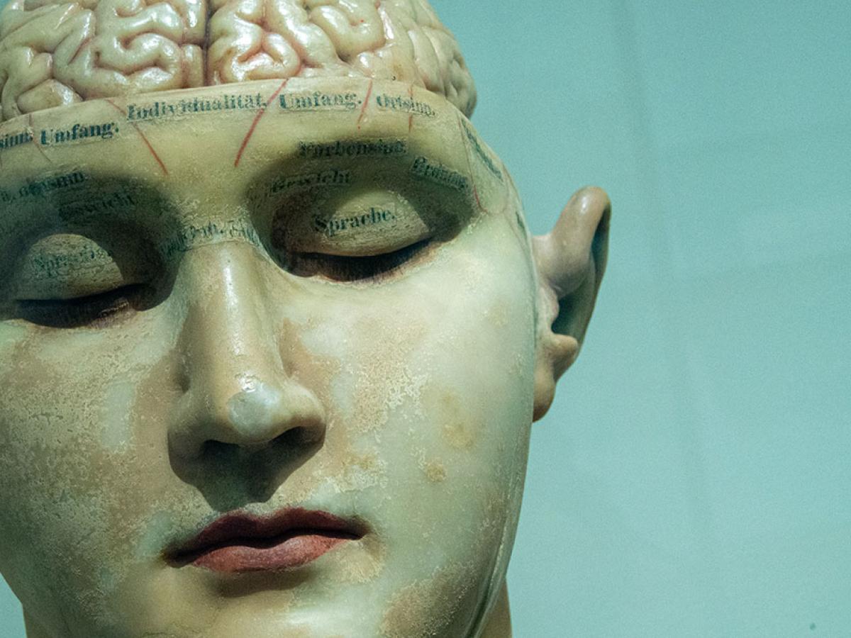 A Victorian medical bust showing the brain with labels in German.
