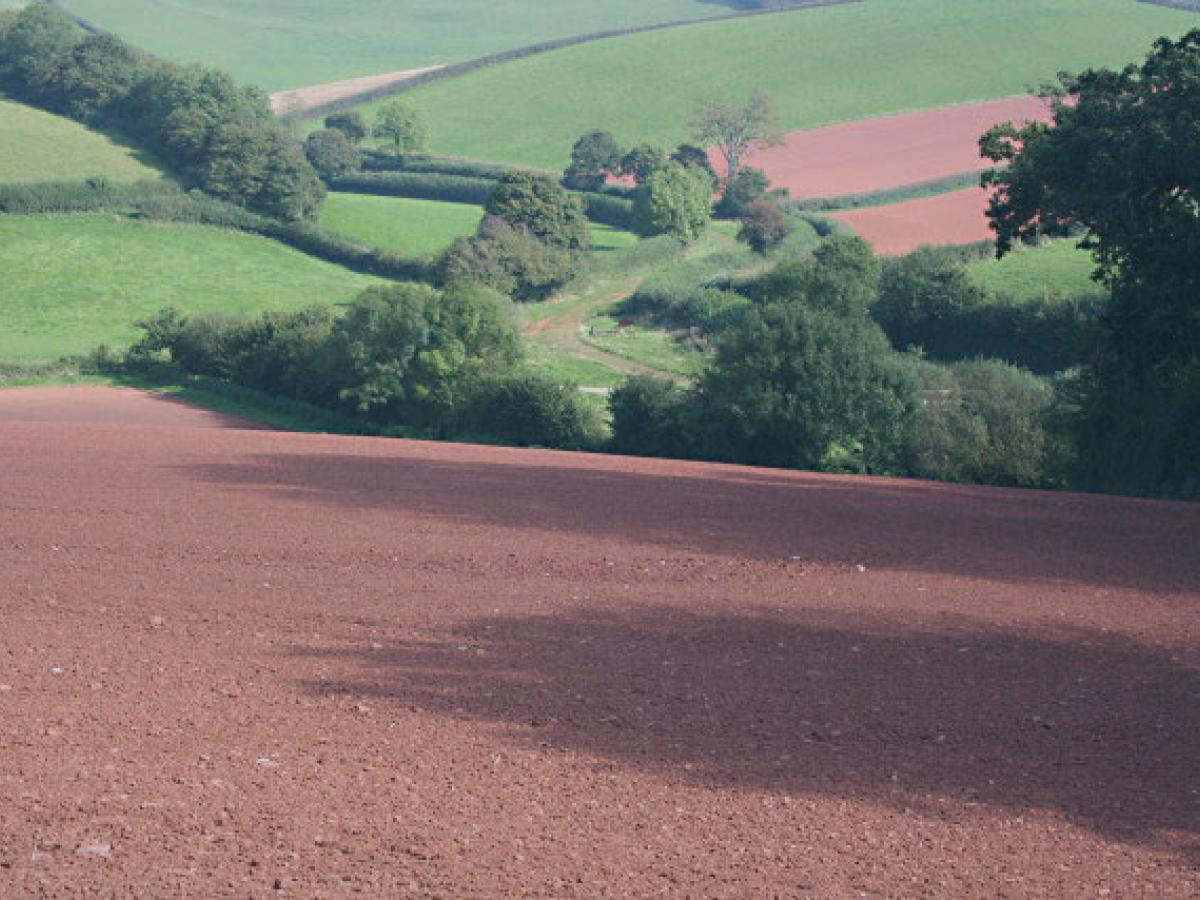 A field of ploughed red soil leads down to a hedged lane.