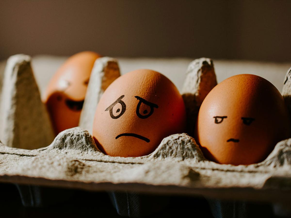 In an egg box sit two eggs with faces drawn on them with marker pen. One looks worried, the other looks on.