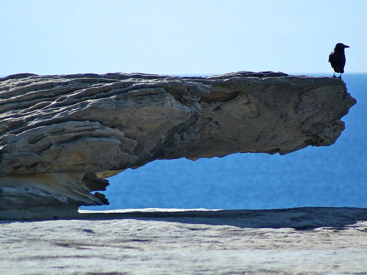 A crow stands at the end of an overhanging rock.