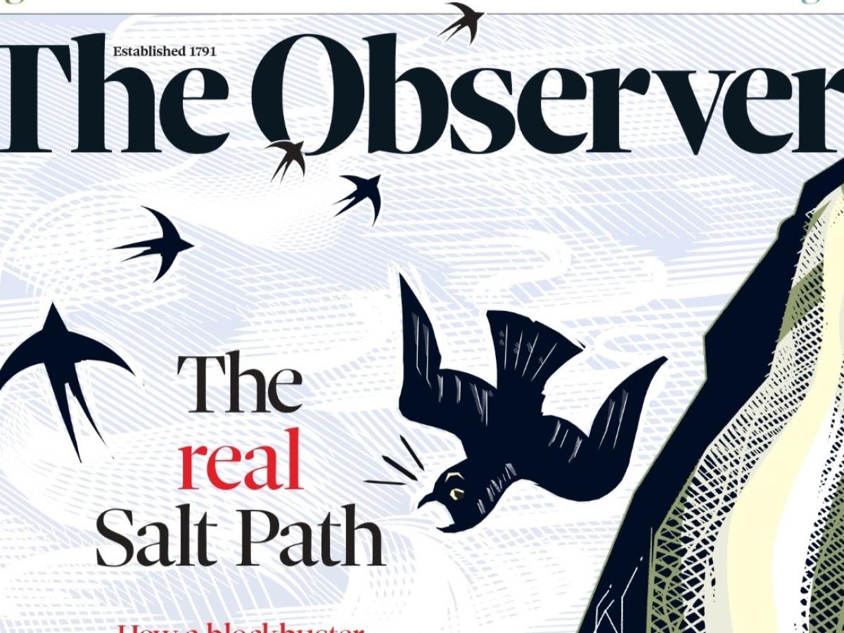 A newspaper front page shows its title and a falling sea bird
