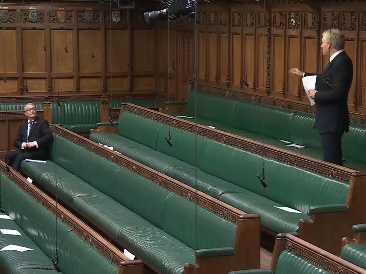 A backbench MP stands in an almost empty chamber and speaks
