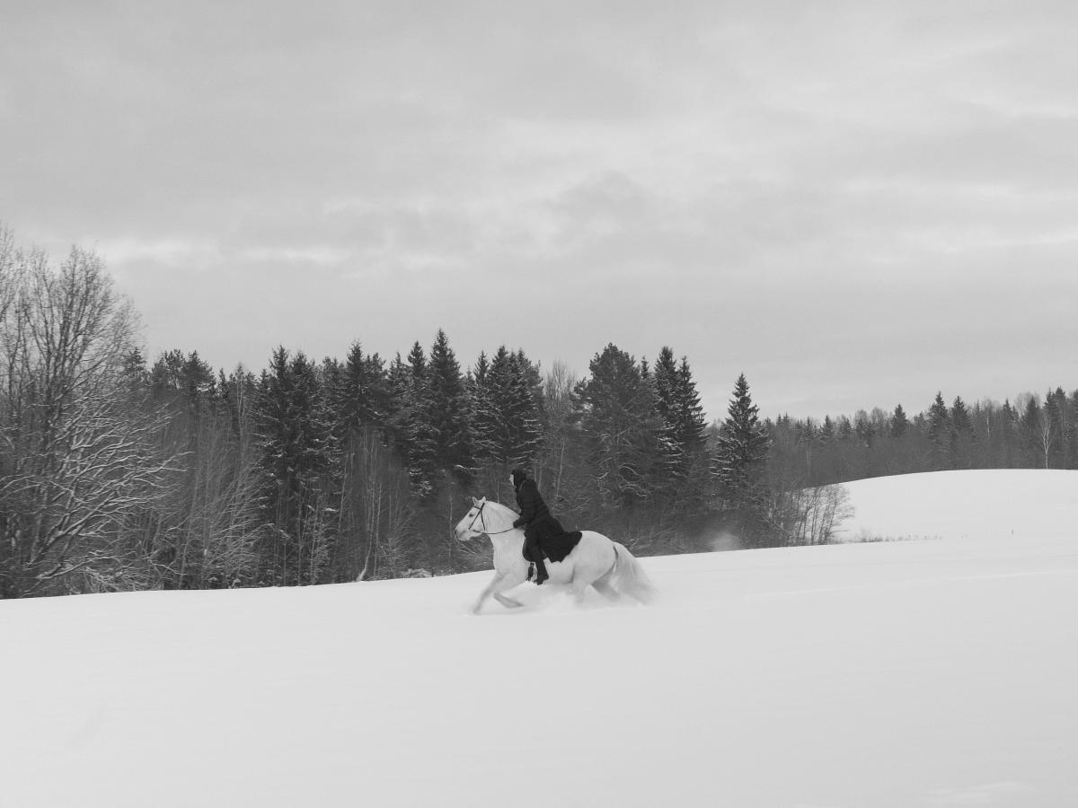 A nun on a white horse, gallops across a snowy field, in black and white