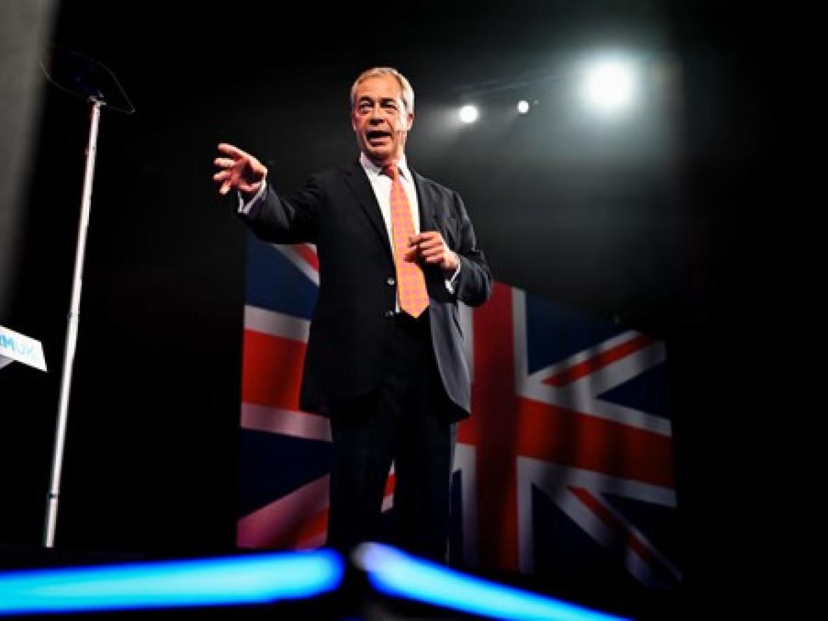Nigel Farage stands and gestures in front of a flag.