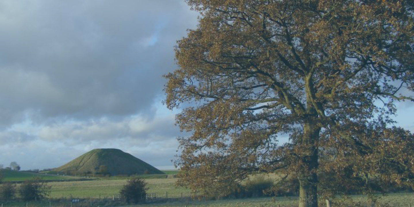 An oak tree stands over a field and fence, behind which, in the distance, rises a man made hill with a flat top.