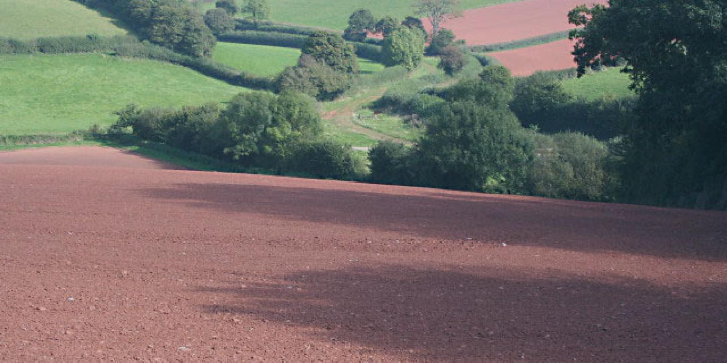 A field of ploughed red soil leads down to a hedged lane.