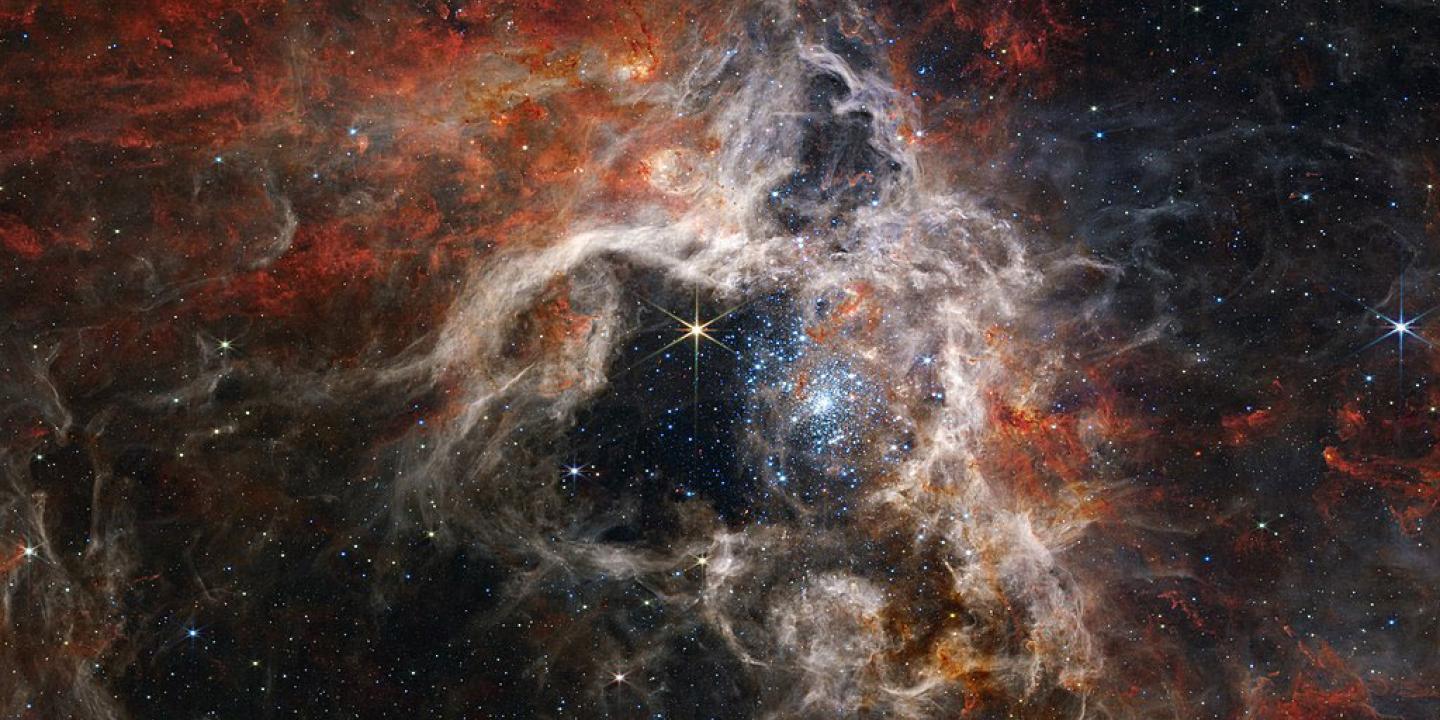 A star nebula of gas clouds and stars.