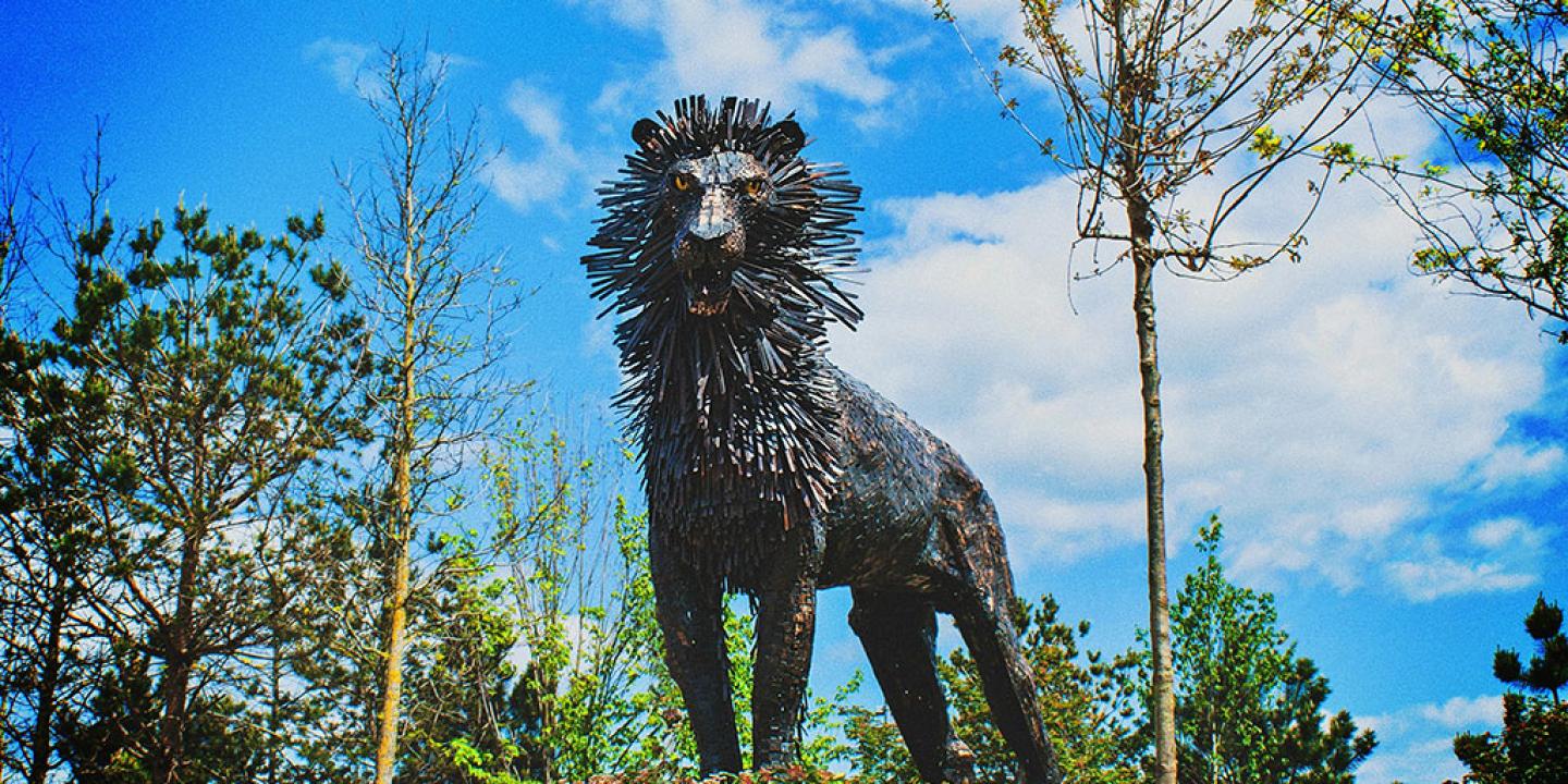 A steel sculpture of a male lion.