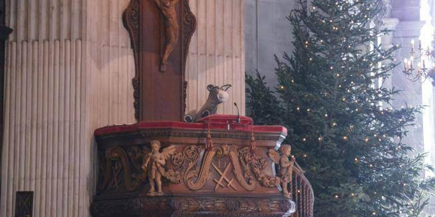 A puppet donkey peaks over the edge of a cathedral pulpit