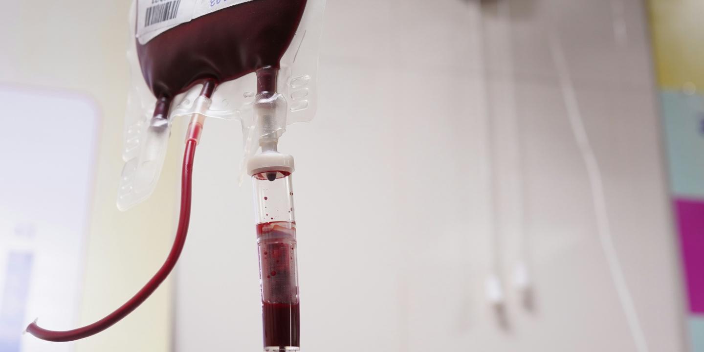 A bag of blood connected to a drip.