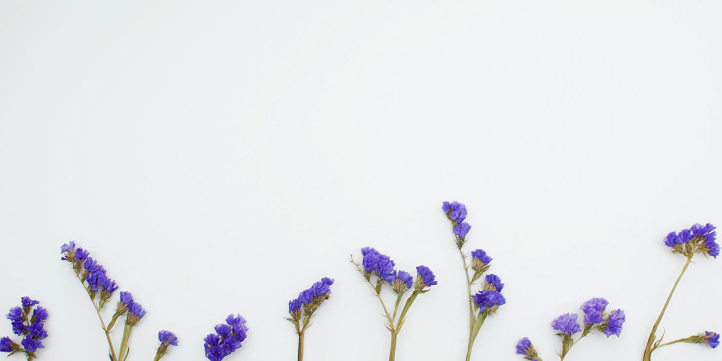 a row of flowers with green stalks and blue flowers.