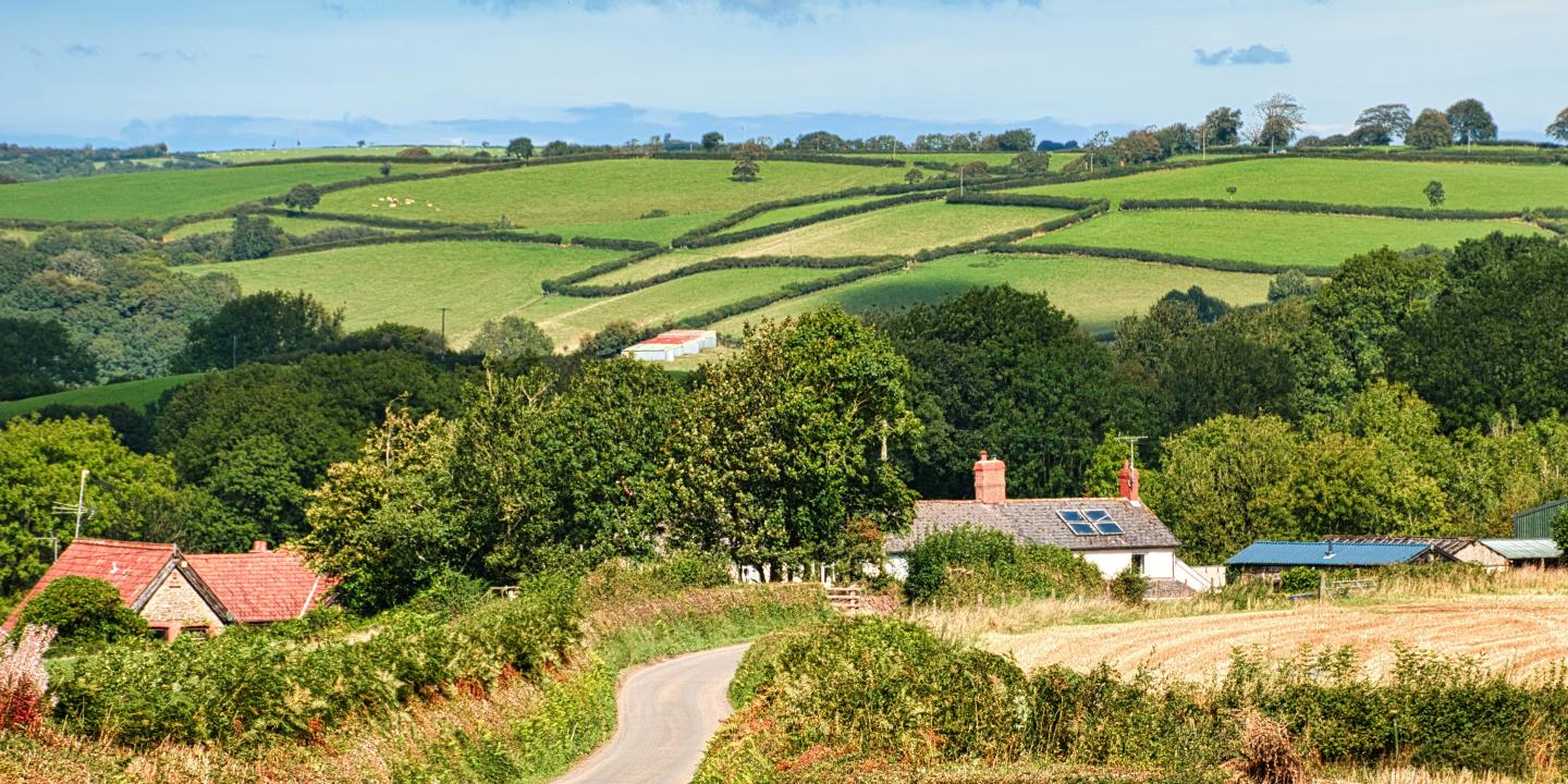 A Devon lane lined by hedges.