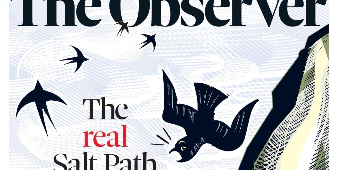 A newspaper front page shows its title and a falling sea bird