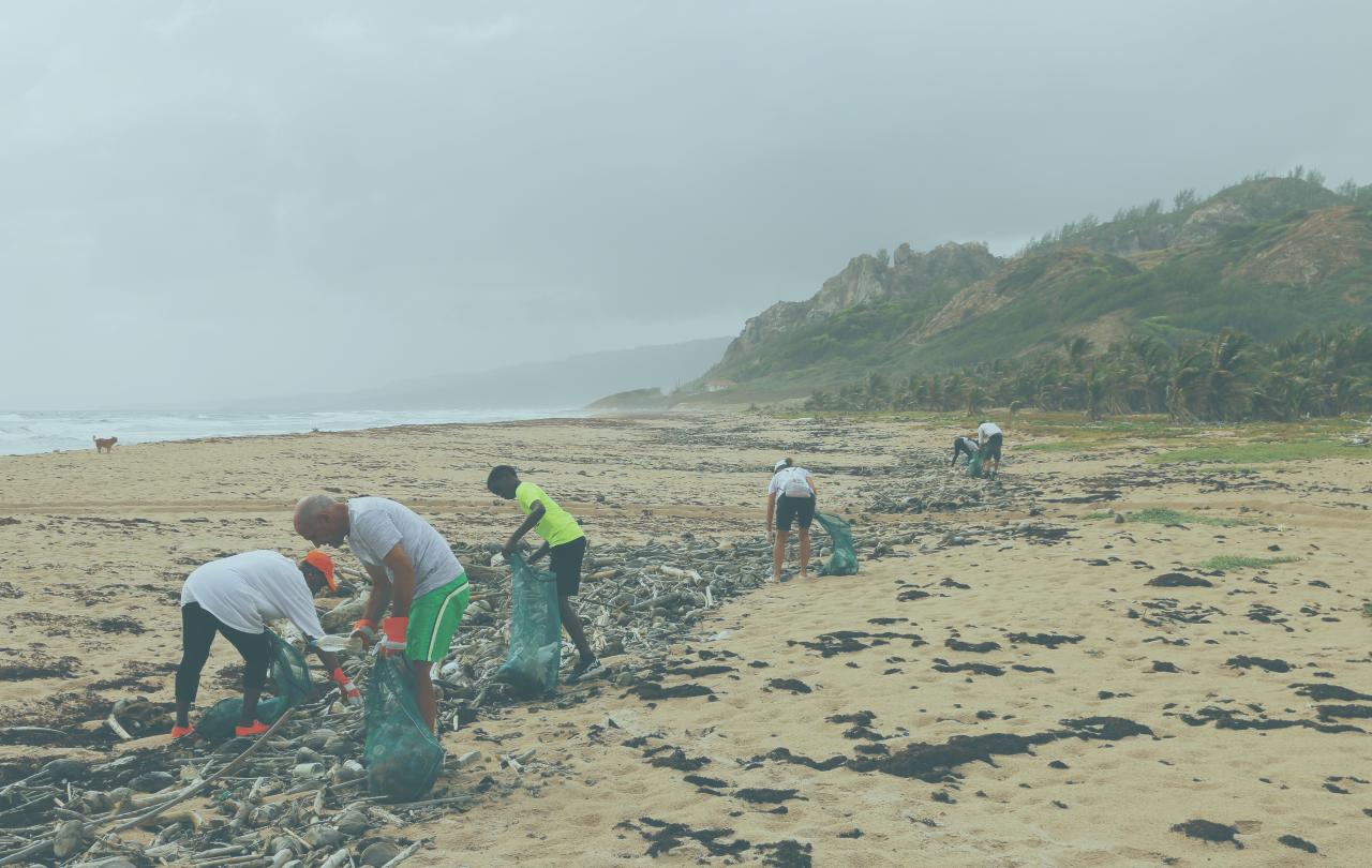 On a misty beach, people comb the tide line to remove rubbish.