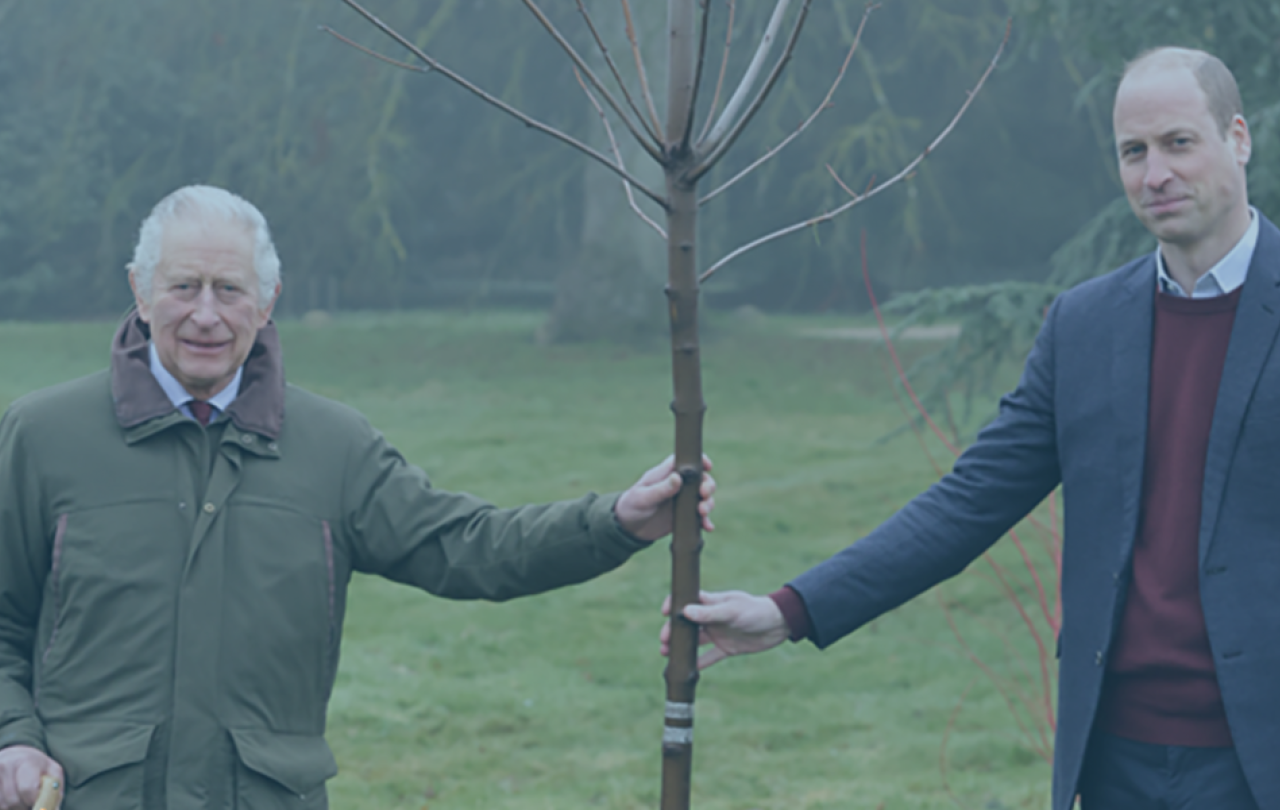 King Charles and Prince William hold a tree sapling upright.