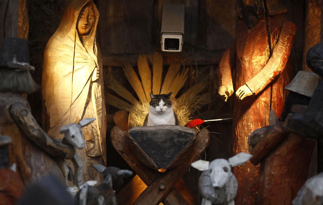 A nativity seen with wooden figures and hay, amidst which a cat sits in the manger.