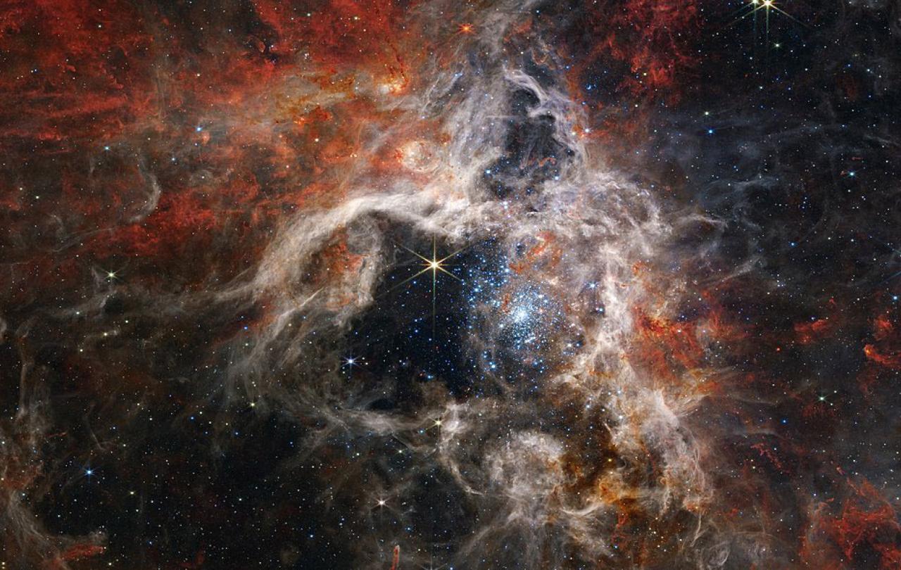 A star nebula of gas clouds and stars.