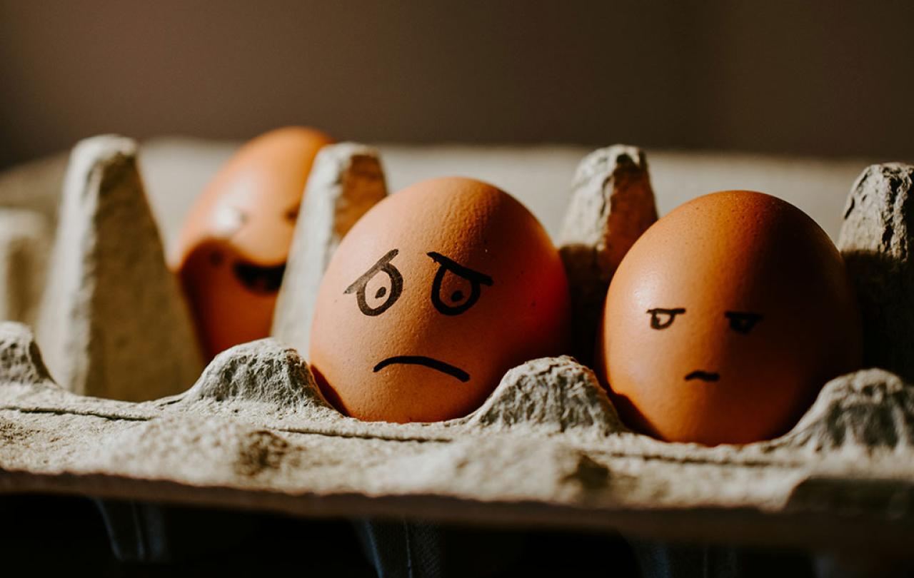 In an egg box sit two eggs with faces drawn on them with marker pen. One looks worried, the other looks on.