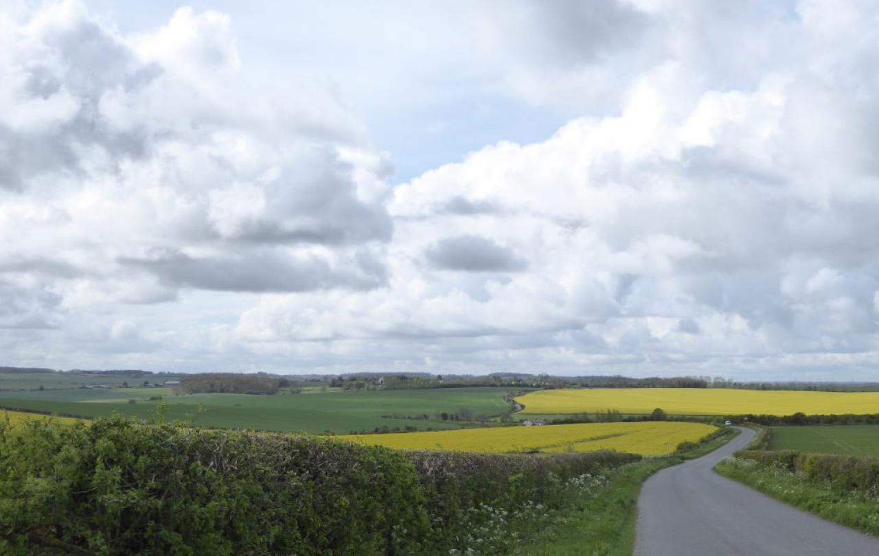 A country lane runs down a gentle hill between green and yellow fields under a cloud dappled sky.