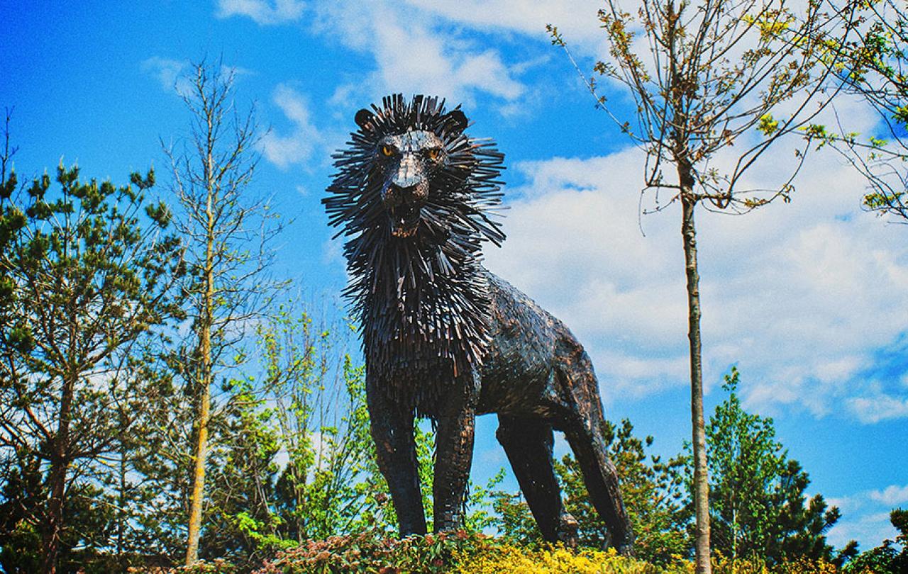 A steel sculpture of a male lion.