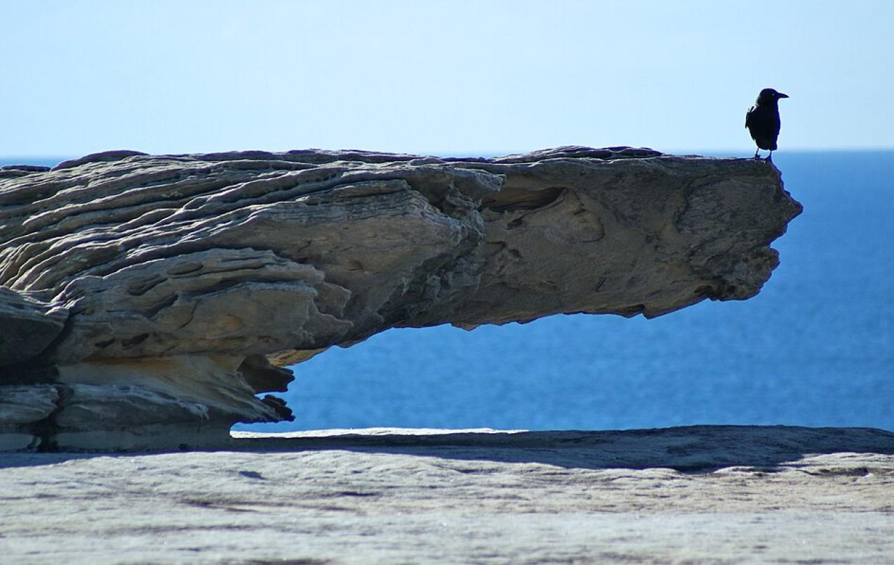 A crow stands at the end of an overhanging rock.