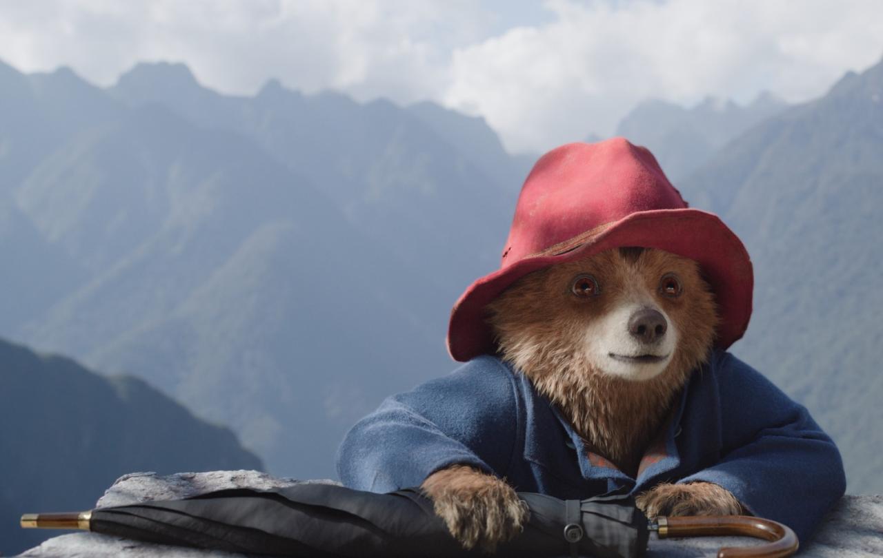 A cartoon bear, wearing a blue duffel coat and red hat, rests his arms on a rock against a mountainous background